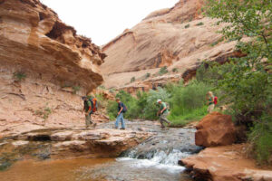 Hiking along spring fed stream in Grandstaff Canyon Moab