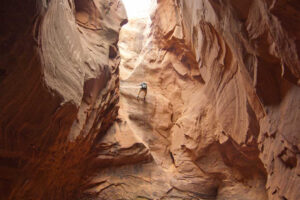 Overhead view of guided canyoneering rope setup in Moab canyon