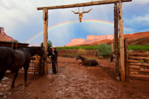 Two horses with rainbow over Moab red rock desert