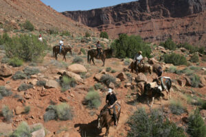Horseback riders crossing small desert creek on Moab trail ride